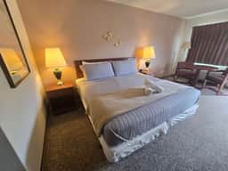 Eagle Motel Room  1