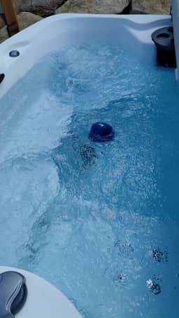 Wonder-View Lodge with Hot Tub and Panoramic Mountain Views! - Image 3