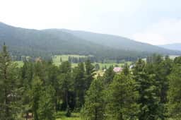 Evergreen Suite - Image 3