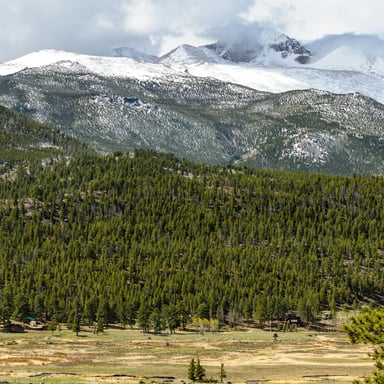 Snow-capped peaks and pine forest near Rocky Mountain National Park, Estes Park