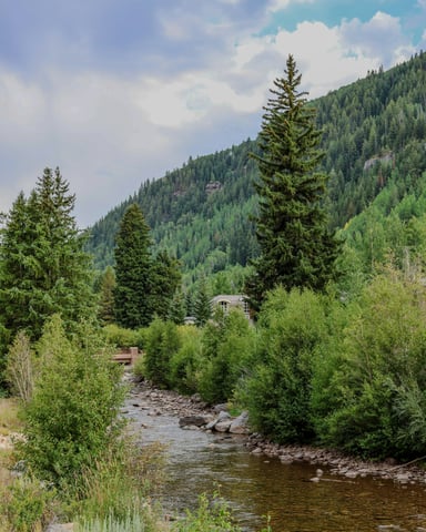 Riverside cabin on St. Vrain Creek in Lyons, Colorado
