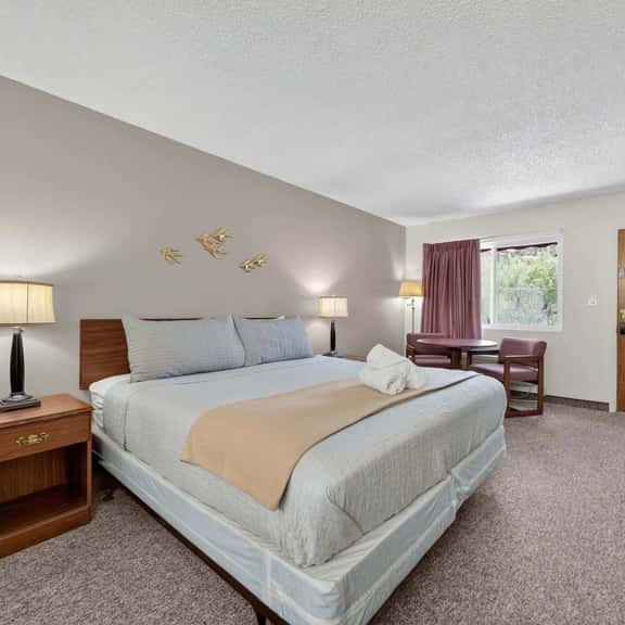 Eagle Motel Suite 224 - Image 1